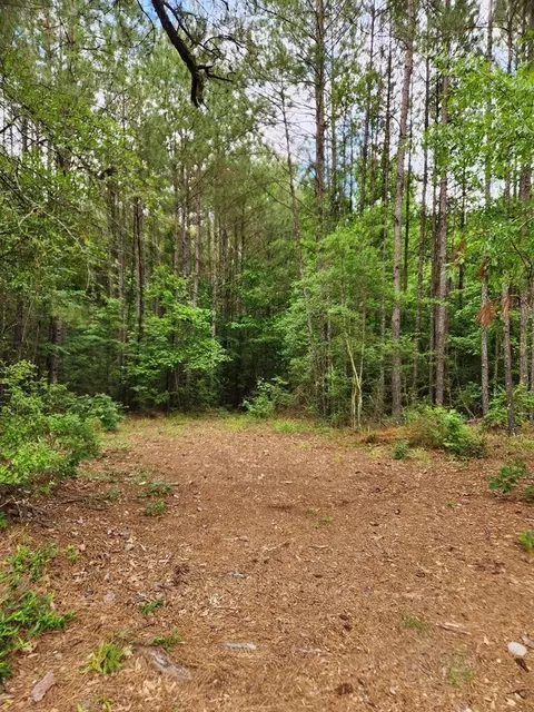 tbd Valley Ln, Summit, MS 39666 photo 10
