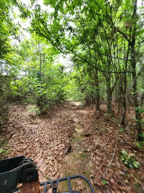 tbd Valley Ln, Summit, MS 39666 photo 19