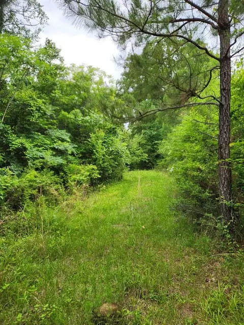 tbd Valley Ln, Summit, MS 39666 photo 12