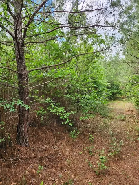 tbd Valley Ln, Summit, MS 39666 photo 24