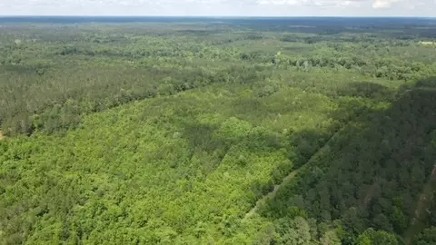tbd Valley Ln, Summit, MS 39666 photo 6