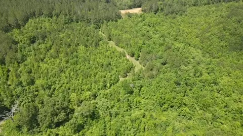 tbd Valley Ln, Summit, MS 39666 photo 7