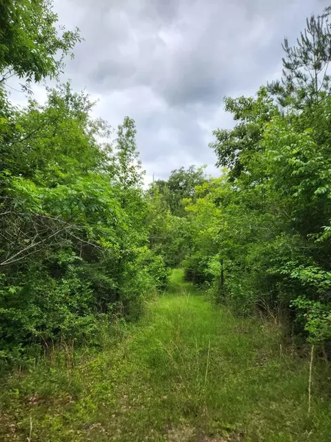 tbd Valley Ln, Summit, MS 39666 photo 13