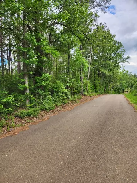 tbd Valley Ln, Summit, MS 39666 photo 3