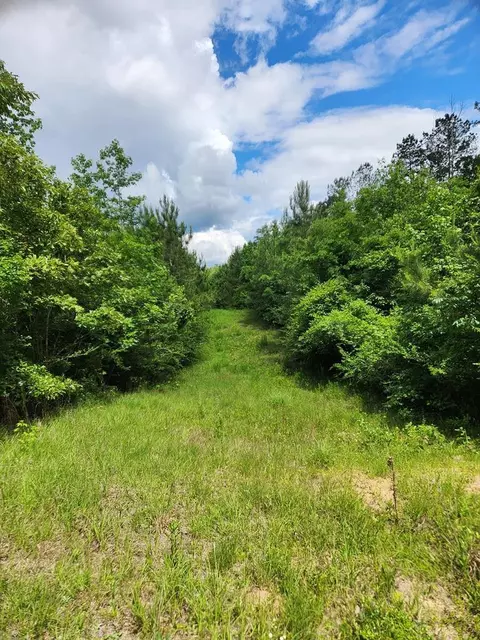 tbd Valley Ln, Summit, MS 39666 photo 26