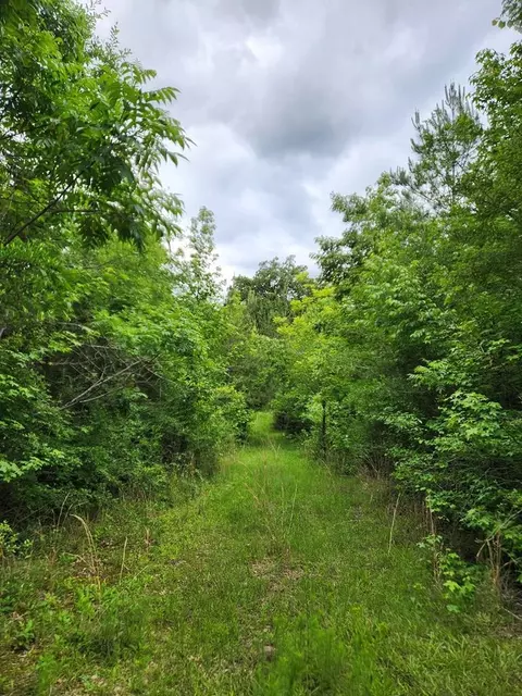 tbd Valley Ln, Summit, MS 39666 photo 14