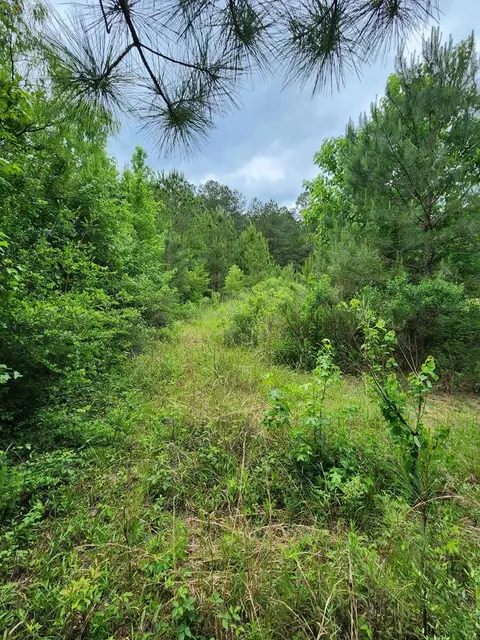 tbd Valley Ln, Summit, MS 39666 photo 25