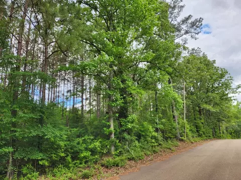 tbd Valley Ln, Summit, MS 39666 photo 2