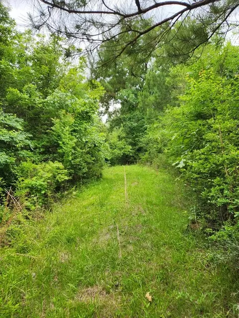 tbd Valley Ln, Summit, MS 39666 photo 11
