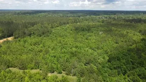 tbd Valley Ln, Summit, MS 39666 photo 16