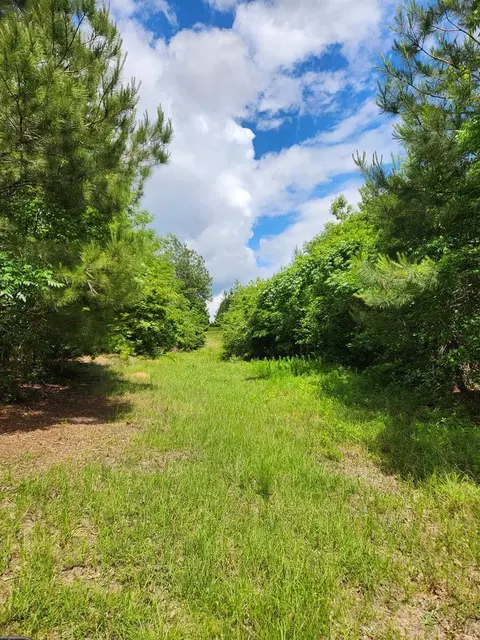 tbd Valley Ln, Summit, MS 39666 photo 27