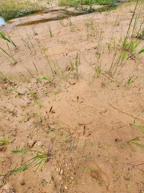 tbd Valley Ln, Summit, MS 39666 photo 18