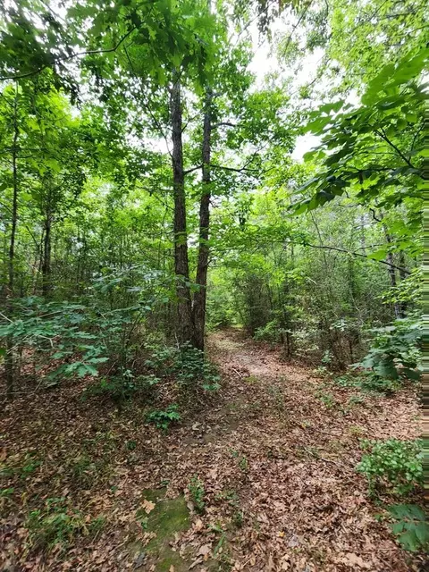 tbd Valley Ln, Summit, MS 39666 photo 21