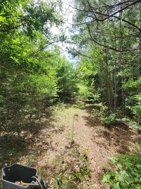 tbd Valley Ln, Summit, MS 39666 photo 22