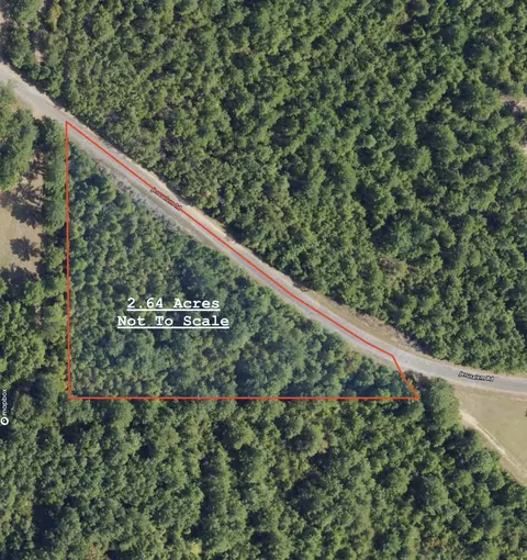 Jerusalem Road, Liberty, MS 39645 photo 6
