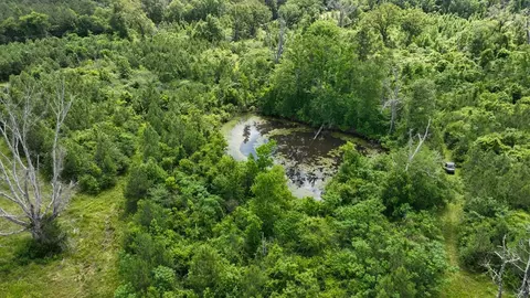 0 River Rd N, Summit, MS 39666 photo 23