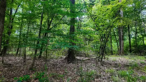 0 River Rd N, Summit, MS 39666 photo 35