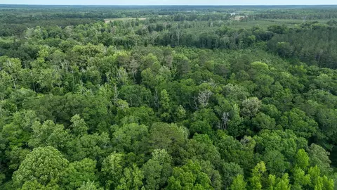 0 River Rd N, Summit, MS 39666 photo 12