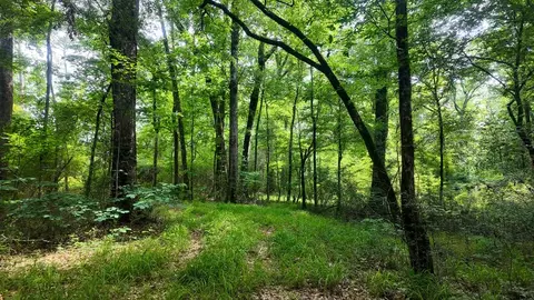 0 River Rd N, Summit, MS 39666 photo 31