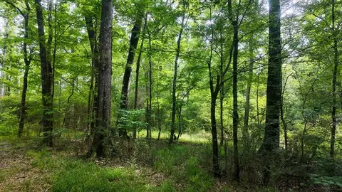 0 River Rd N, Summit, MS 39666 photo 32