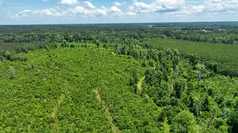 0 River Rd N, Summit, MS 39666 photo 27