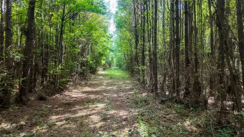 0 River Rd N, Summit, MS 39666 photo 39