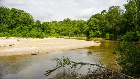 0 River Rd N, Summit, MS 39666 photo 43