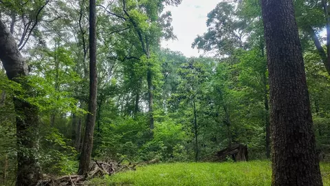 0 River Rd N, Summit, MS 39666 photo 37