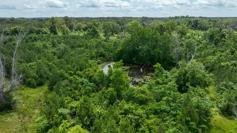 0 River Rd N, Summit, MS 39666 photo 24