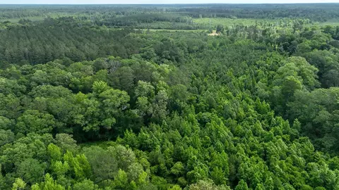 0 River Rd N, Summit, MS 39666 photo 11
