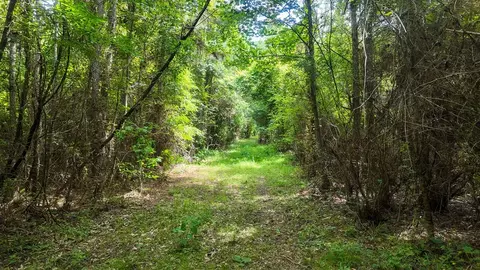 0 River Rd N, Summit, MS 39666 photo 38