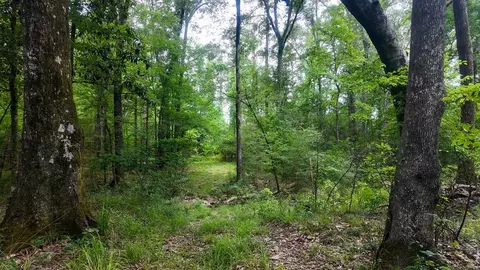 0 River Rd N, Summit, MS 39666 photo 36