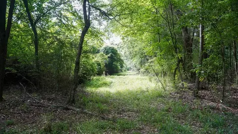 0 River Rd N, Summit, MS 39666 photo 41