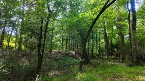 0 River Rd N, Summit, MS 39666 photo 33