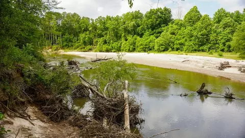 0 River Rd N, Summit, MS 39666 photo 42