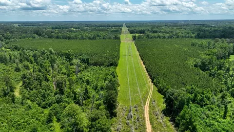 0 River Rd N, Summit, MS 39666 photo 26