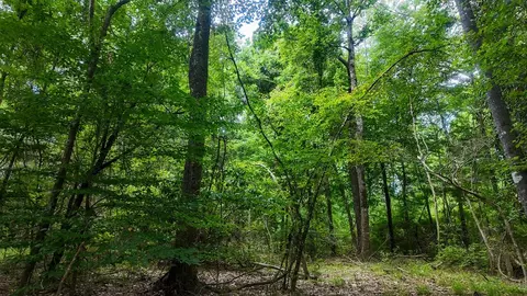 0 River Rd N, Summit, MS 39666 photo 34