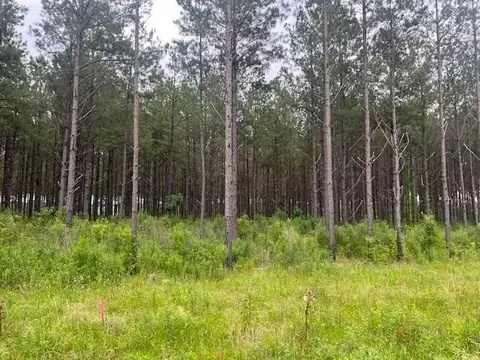 2423 E Lincoln Rd # B, Brookhaven, MS 39601