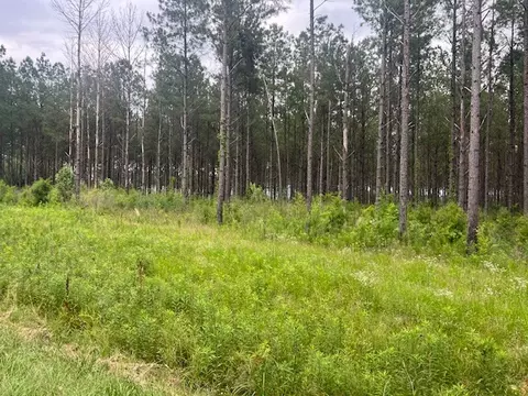 2423 E Lincoln Rd # B, Brookhaven, MS 39601 photo 3