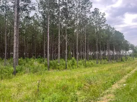 2423 E Lincoln Rd # B, Brookhaven, MS 39601 photo 2
