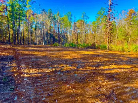 1000 Cline Rd, Wesson, MS 39191 photo 7