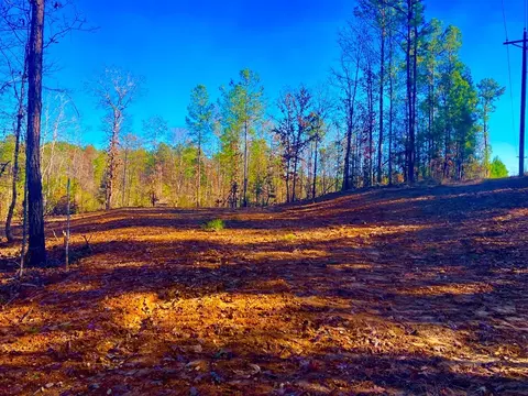 1000 Cline Rd, Wesson, MS 39191 photo 4