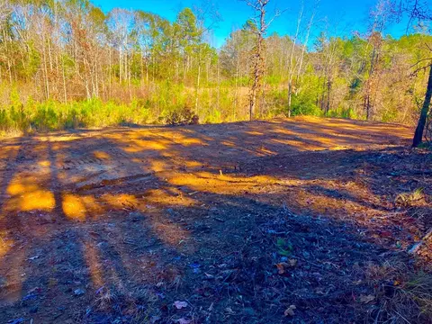 1000 Cline Rd, Wesson, MS 39191 photo 5