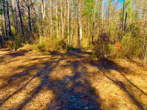 1000 Cline Rd, Wesson, MS 39191 photo 3