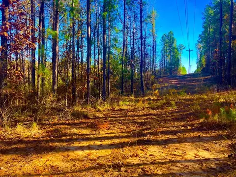 1000 Cline Rd, Wesson, MS 39191 photo 2