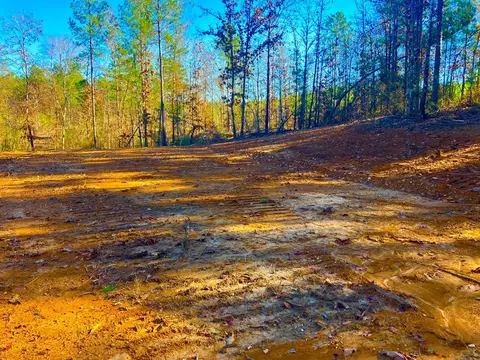 1000 Cline Rd, Wesson, MS 39191 photo 6