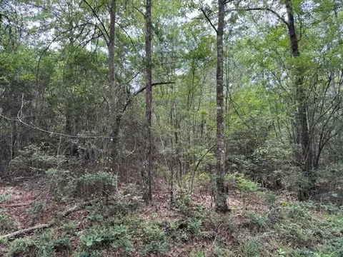 Na New Home Road, Magnolia, MS 39652