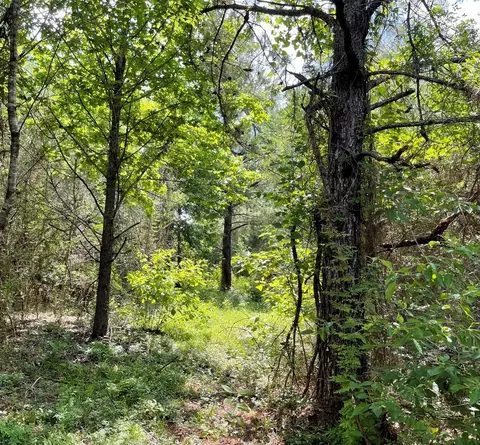 tbd Tom Warner, Tylertown, MS 39667 photo 6
