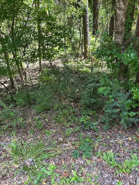 tbd E Homochitto Rd, Gloster, MS 39638 photo 1