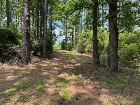 770 Taylor Rd, Kokomo, MS 39643 photo 7